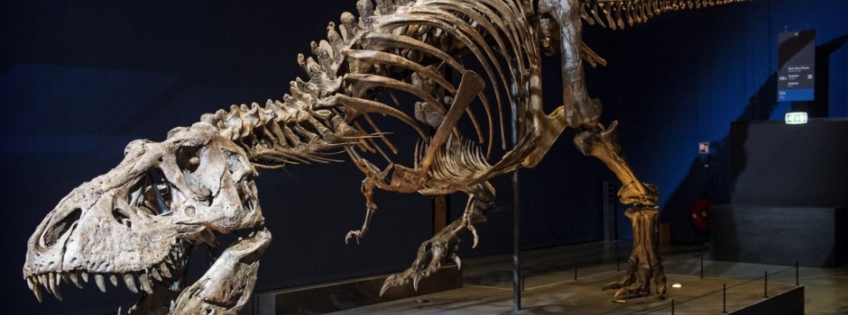 marten-van-dijl-trix-anp-47390666