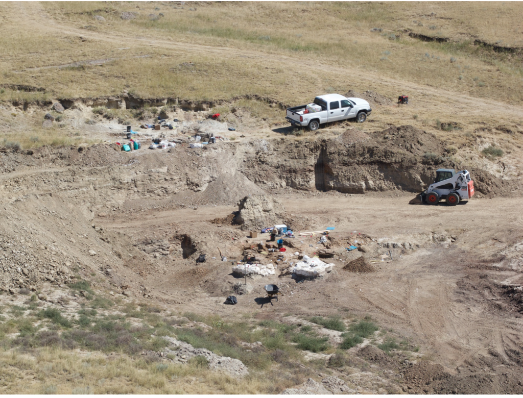 Triceratops opgravingssite in Wyoming