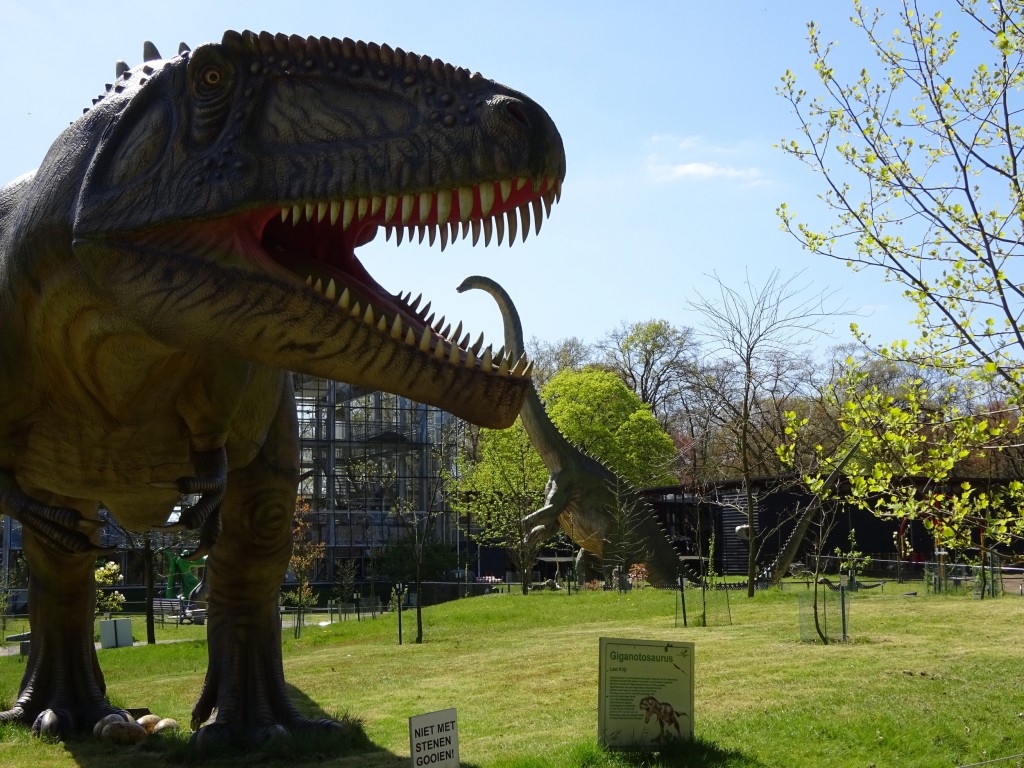 Giganotosaurus met Diplodocus in Oertijdpark